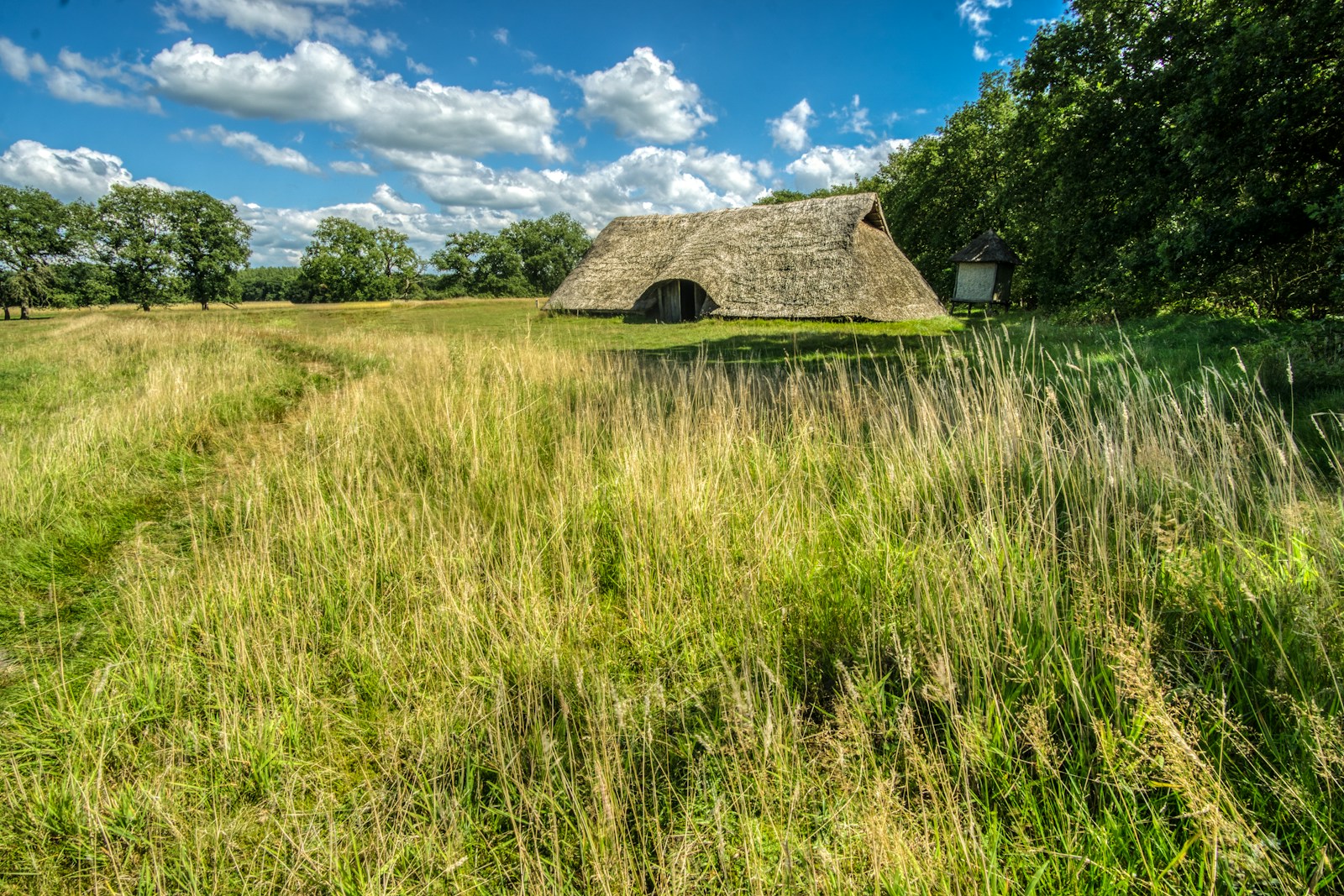 brown wooden house on green grass field under blue sky during daytime