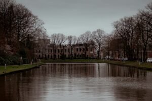 a body of water surrounded by trees and buildings