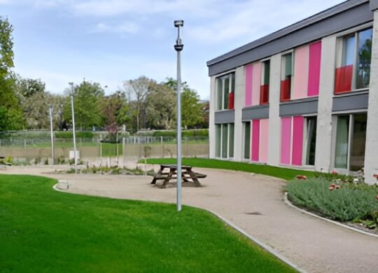Klavervier Friesland Foto