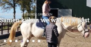 Zeeuwse Gronden Foto