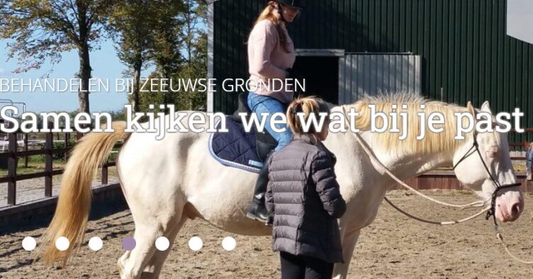 Zeeuwse Gronden Foto