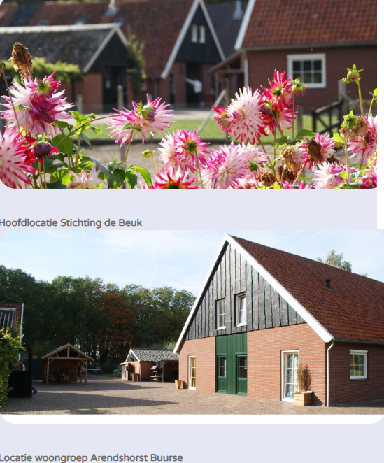De Beuk Foto