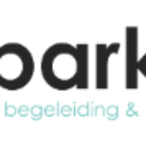 Parkub Logo
