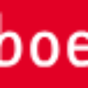Van Boeijen Logo